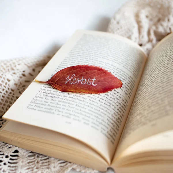 Ett Mjukt Fokus Ett Rött Löv Med Ordet Höst Skrivet — Stockfoto