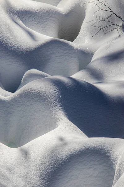 白い雪の中で育つ枝の垂直ショット — ストック写真