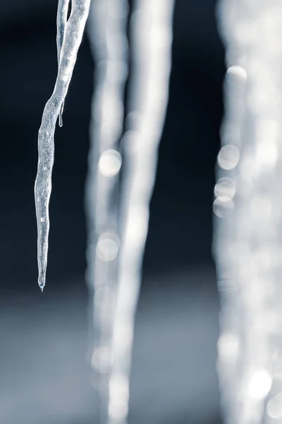 Eine Vertikale Selektive Fokusaufnahme Schöner Eiszapfen Die Vor Einem Verschwommenen — Stockfoto