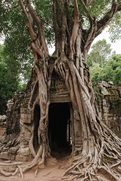 Angkor Wat Temple Complex Siem Reap Cambodia Royalty Free Stock Photos