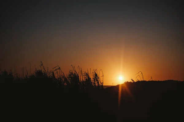 Μια Όμορφη Λήψη Ενός Χρυσαφένιου Ηλιοβασιλέματος Μια Παραλία — Φωτογραφία Αρχείου