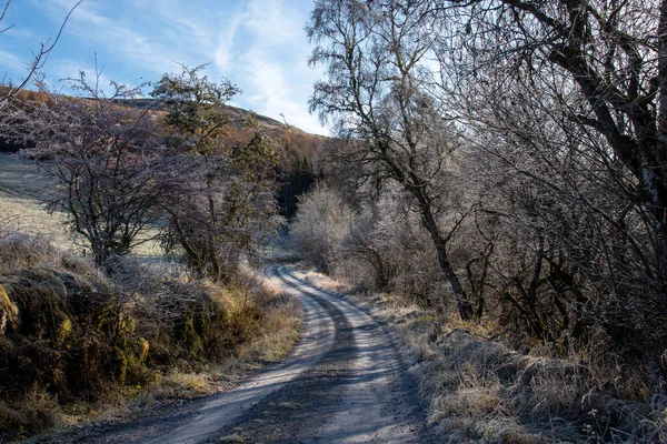 Ένα Όμορφο Τοπίο Παγετού Στα Δέντρα Στο Glen Tilt Και — Φωτογραφία Αρχείου