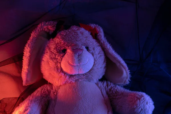 Pörröinen Kanin Muotoinen Lelu Värillisten Valojen Alla — kuvapankkivalokuva