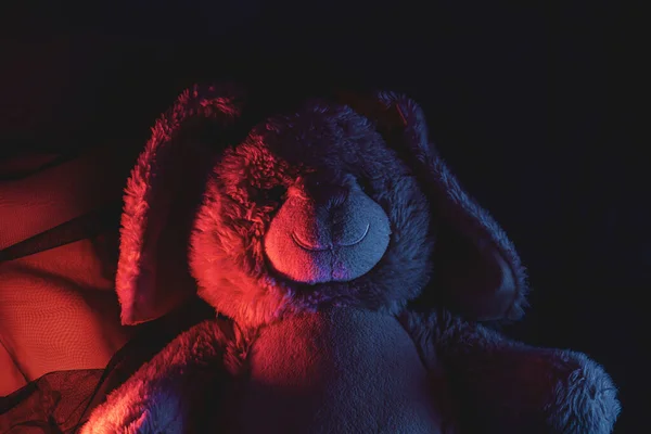 ふわふわのウサギのおもちゃのクローズアップショット — ストック写真