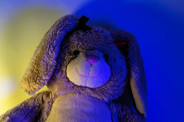 Fluffy Toy Shaped Rabbit Colored Lights — Stock Photo, Image