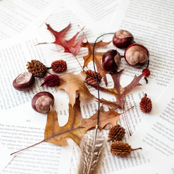 Top View Chestnuts Dry Leaves Lying Book Pages Perfect Background — Stock Photo, Image