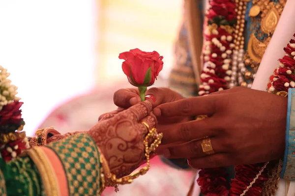 Primer Plano Novio Indio Dando Una Flor Rosa Una Novia — Foto de Stock