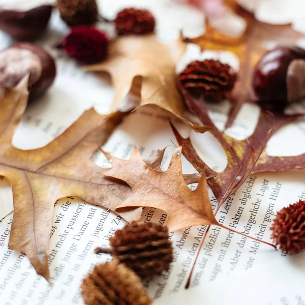 Primo Piano Foglie Autunnali Noci Decorazioni Sulle Pagine Del Libro — Foto Stock