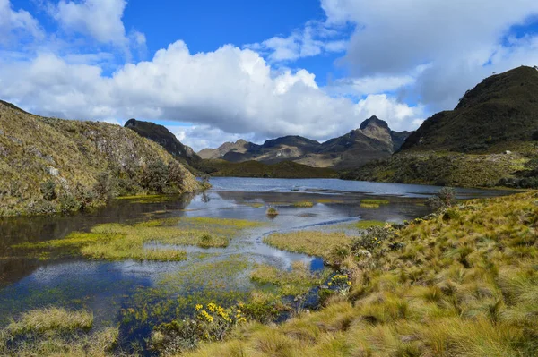 Beautiful Shot Cajas National Park Ecuador — Stock Photo, Image