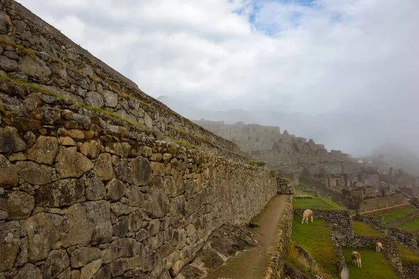 Paisaje Machu Picchu Cubierto Niebla Durante Día Perú —  Fotos de Stock