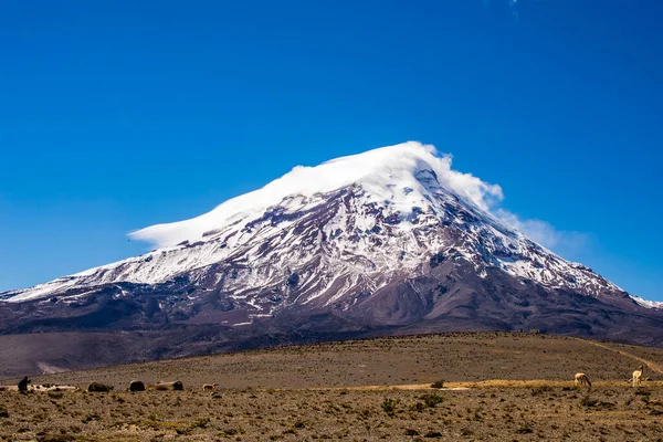 Landskapsbild Den Snöiga Toppen Ett Vackert Berg Ett Moln — Stockfoto