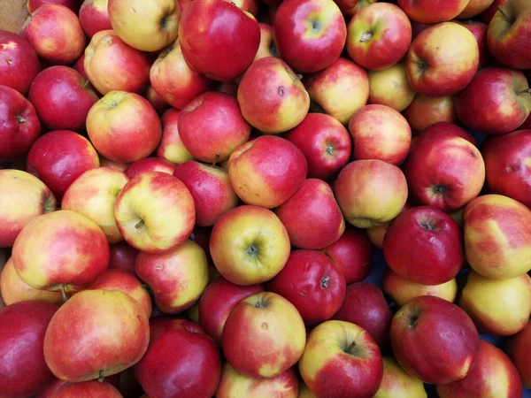 Eine Nahaufnahme Saftiger Äpfel — Stockfoto