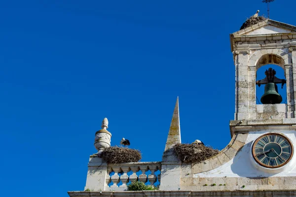 Plano Cigüeñas Campanario Faro Portugal — Foto de Stock