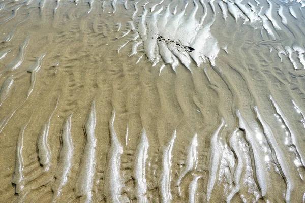 Μια Κοντινή Φωτογραφία Υγρής Άμμου Στο Isla Canela Huelva — Φωτογραφία Αρχείου