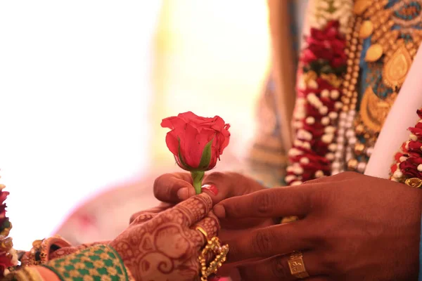 Close Noivo Indiano Dando Uma Flor Rosa Para Uma Noiva — Fotografia de Stock