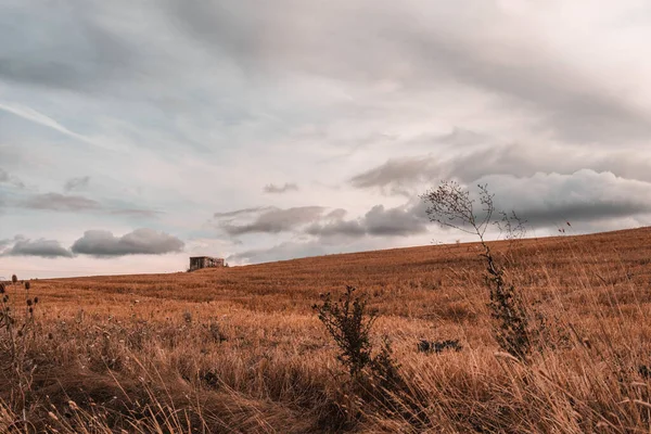 Beautiful Shot Meadow Cloudy Day — Stock Photo, Image