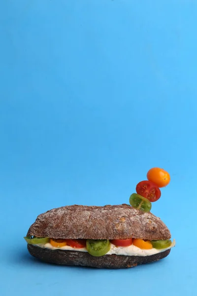 Смачний Бутерброд Соусом Барвистими Помідорами Синій Поверхні — стокове фото