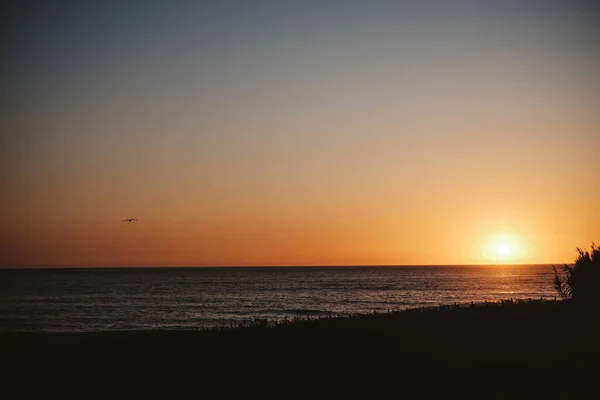 Uma Bela Foto Pôr Sol Uma Praia — Fotografia de Stock