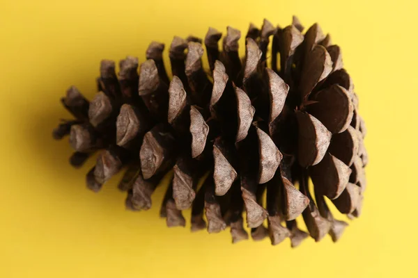 Closeup Pine Cone Yellow Background — Stock Photo, Image