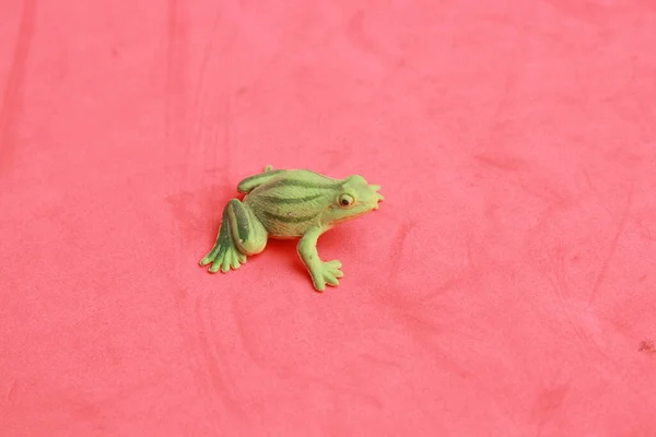 Une Vue Dessus Jouet Caoutchouc Grenouille Sur Fond Rouge — Photo