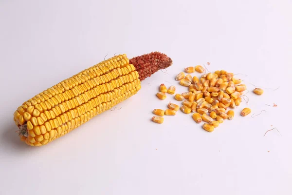 Friss Fül Kukorica Elszigetelt Fehér Alapon — Stock Fotó