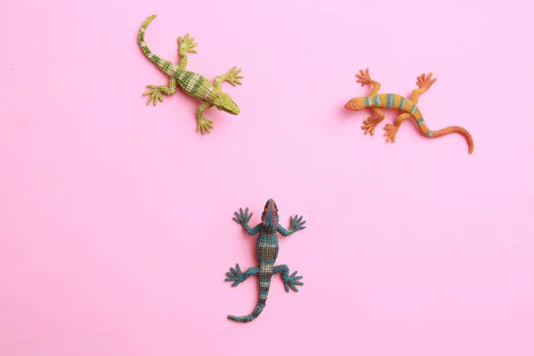 Une Vue Dessus Des Jouets Lézard Caoutchouc Isolés Sur Fond — Photo