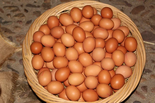 可供出售的篮子中新鲜的褐色鸡蛋的顶部视图 — 图库照片