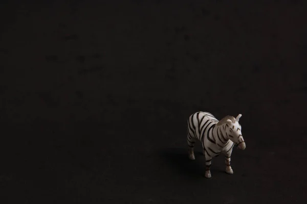Liten Zebra Leksak Svart Bakgrund — Stockfoto