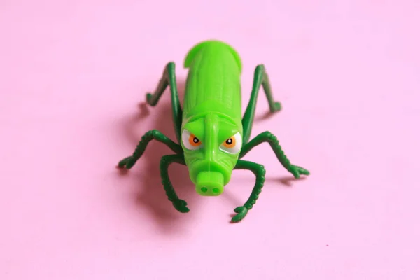 Крупним Планом Зелений Пластиковий Іграшковий Коник Рожевому Фоні — стокове фото
