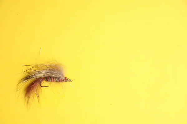 Sarı Arka Planda Izole Edilmiş Balık Yemi Manzarası — Stok fotoğraf