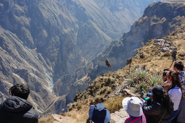 Arequipa Peru Novembro 2019 Turistas Vendo Voo Condor Vale Canyon — Fotografia de Stock