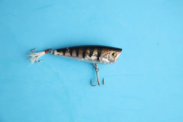 Вид Сверху Рыбалку Изолированный Синем Фоне — стоковое фото