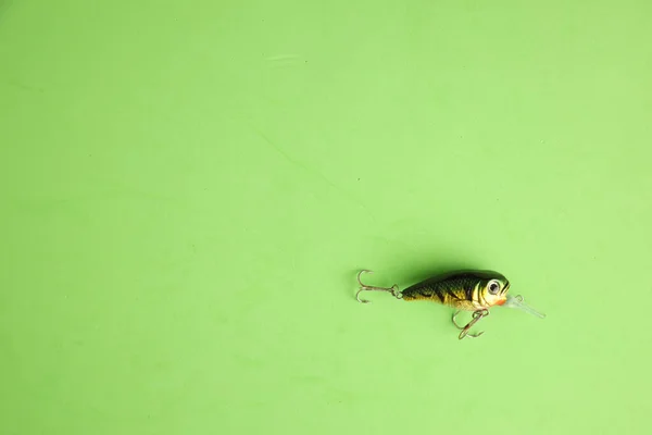 Närbild Bild Bild Ett Fiske Lockbete Isolerad Grön Bakgrund — Stockfoto