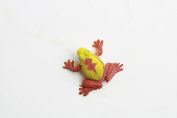 A closeup shot of rubber toy with frog shape isolated on a white background