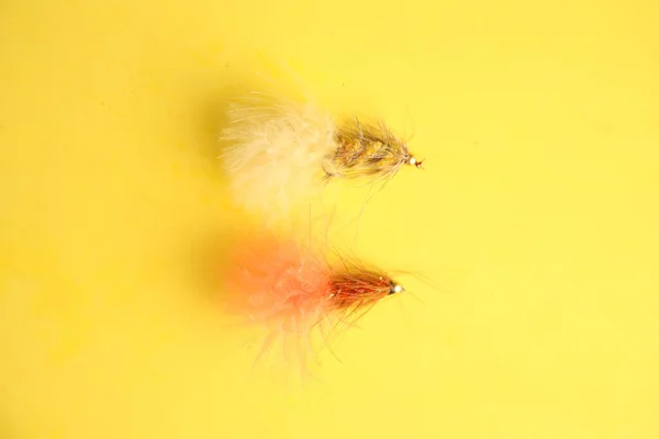 물고기 마리가 배경에서 모습이 위에서 내려다 보이는 — 스톡 사진