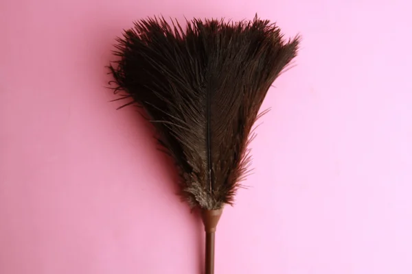 ピンクの背景に隔離された羽毛の塵のブラシのクローズアップショット — ストック写真