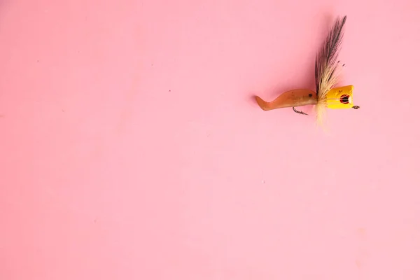 분홍색 배경에 하나의 고기잡이 미끼가 보이는 — 스톡 사진