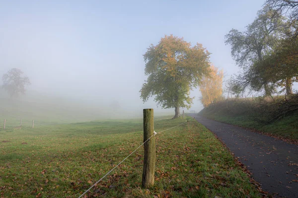 Góry Odenwaldu Jesienią Bardzo Kolorowe Ale Jest Mglisty Poranek — Zdjęcie stockowe