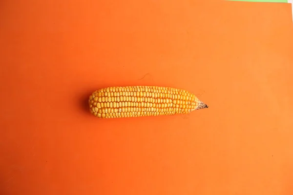 Primer Plano Maíz Orgánico Aislado Sobre Fondo Naranja — Foto de Stock