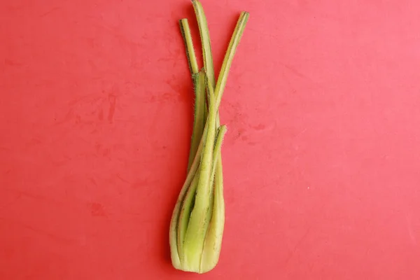 Egy Közeli Felvétel Egy Zöld Zellernövényről Amit Vörös Alapon Izoláltak — Stock Fotó