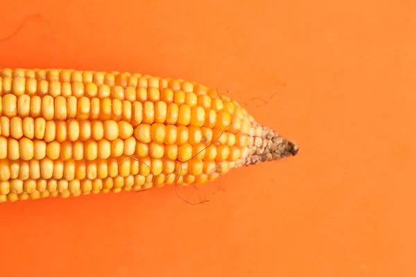 Egy Közeli Kép Szerves Kukorica Izolált Narancssárga Alapon — Stock Fotó