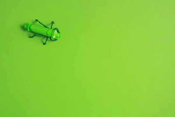 Plastový Hmyz Hračka Miniatura Izolované Zeleném Pozadí Kopií Prostoru — Stock fotografie