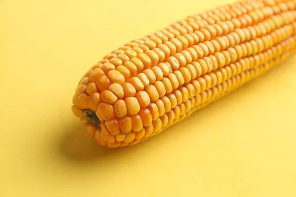 Крупним Планом Знімок Жовтого Кукурудзи Кольоровому Фоні — стокове фото