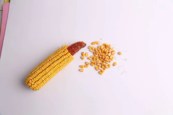 Closeup Shot Organic Corn Isolated White Background — Stock Photo, Image