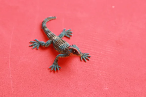 Une Vue Dessus Jouet Caoutchouc Lézard Sur Fond Rouge — Photo