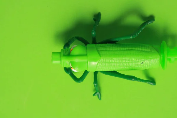 Juguete Verde Saltamontes Aislado Sobre Fondo Verde — Foto de Stock