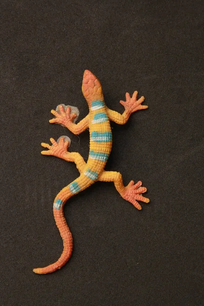 Primer Plano Pequeño Juguete Gecko Aislado Sobre Fondo Negro — Foto de Stock