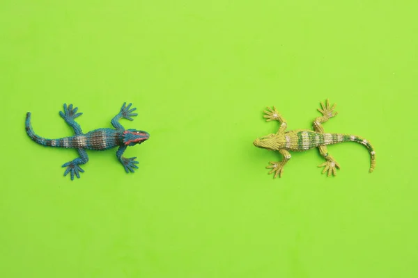 Eine Nahaufnahme Von Gummiechsenspielzeug Isoliert Auf Grünem Hintergrund — Stockfoto