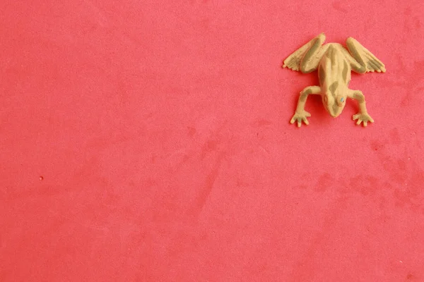 Vysoký Úhel Pohledu Shora Detailní Záběr Malé Figurky Žáby Hračka — Stock fotografie