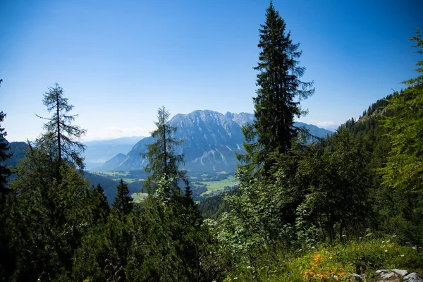 緑豊かな風景とオーストリアの高い岩場の山々 タウプリッツの美しい風景 — ストック写真
